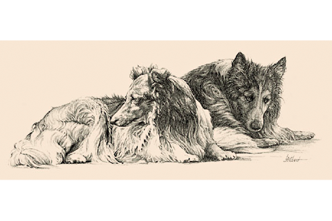 Graphite